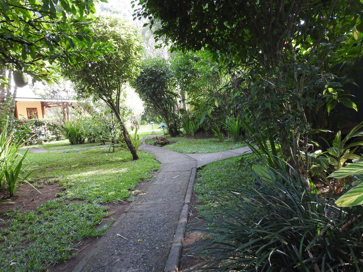 Playa Negra Guesthouse Cahuita Bagian luar foto