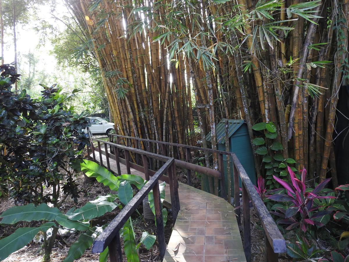 Playa Negra Guesthouse Cahuita Bagian luar foto