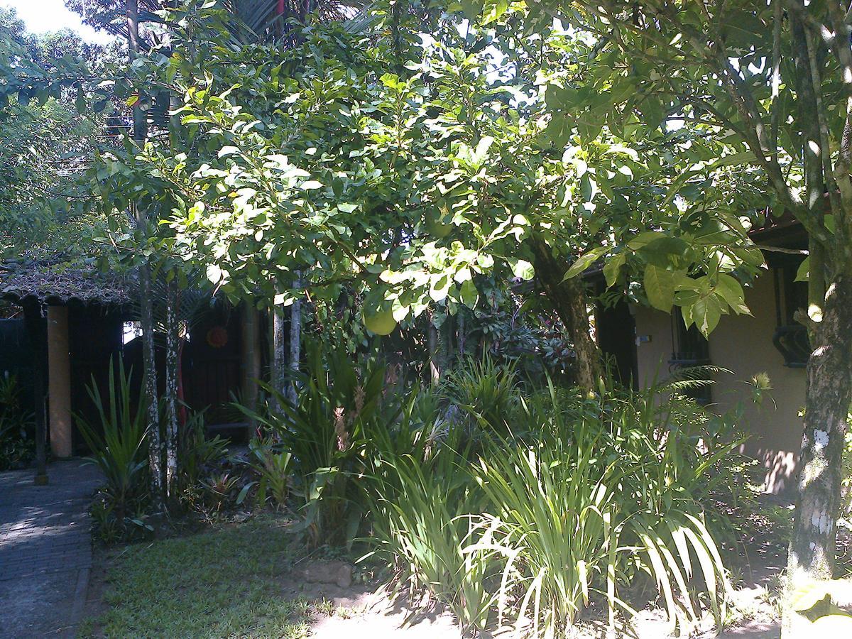 Playa Negra Guesthouse Cahuita Bagian luar foto