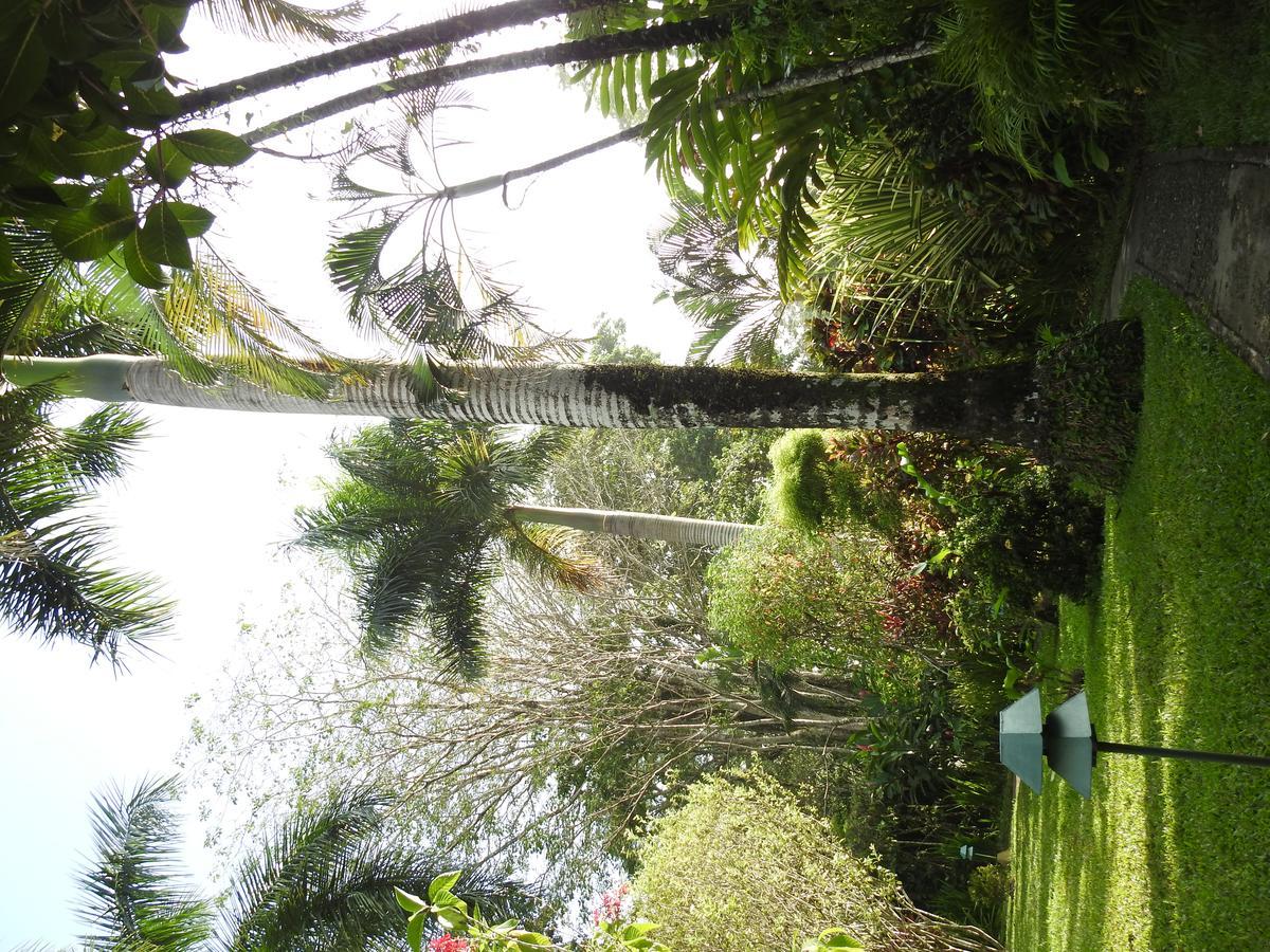 Playa Negra Guesthouse Cahuita Bagian luar foto