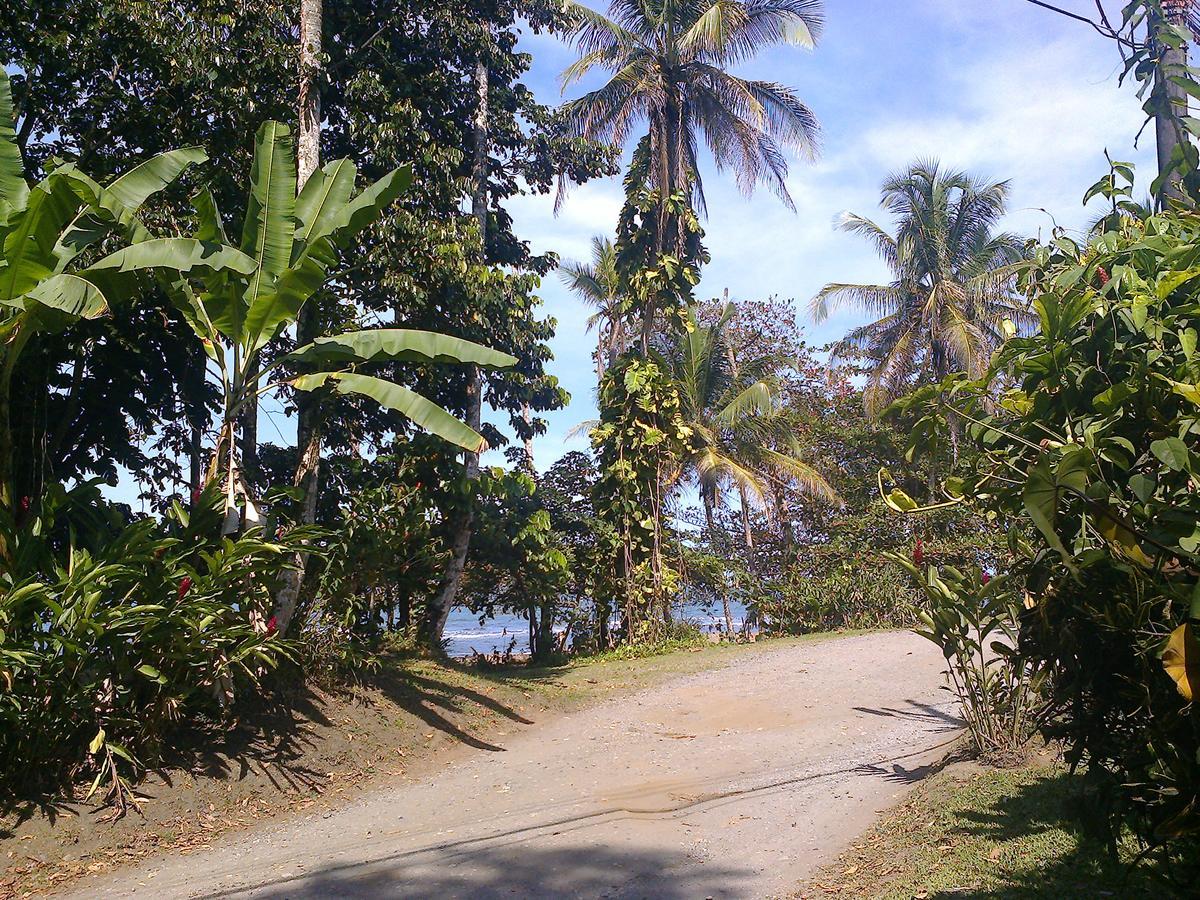 Playa Negra Guesthouse Cahuita Bagian luar foto