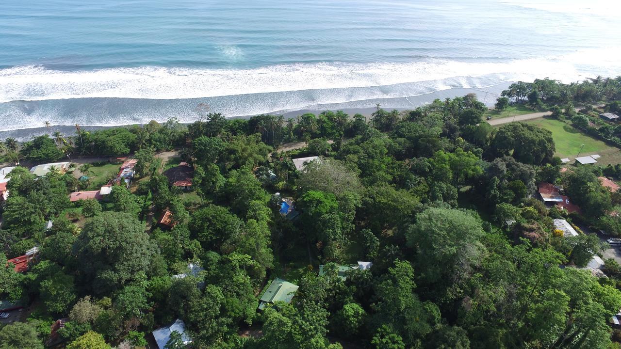 Playa Negra Guesthouse Cahuita Bagian luar foto