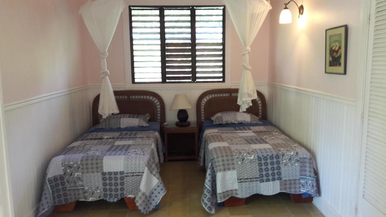 Playa Negra Guesthouse Cahuita Bagian luar foto